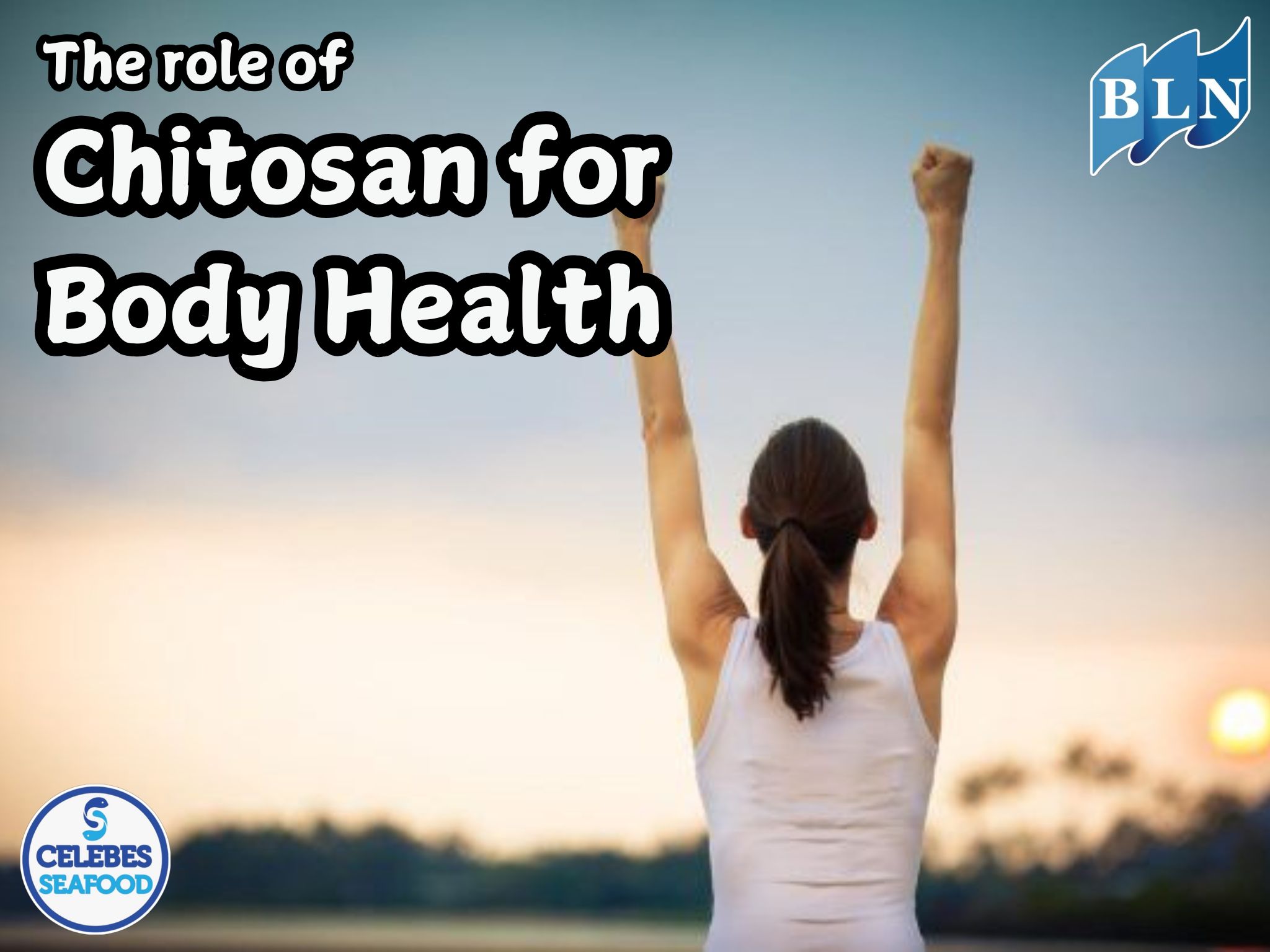 The role of Chitosan for body health